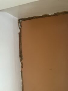 Black mould removal wellington