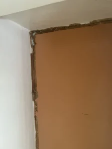 Black mould removal wellington
