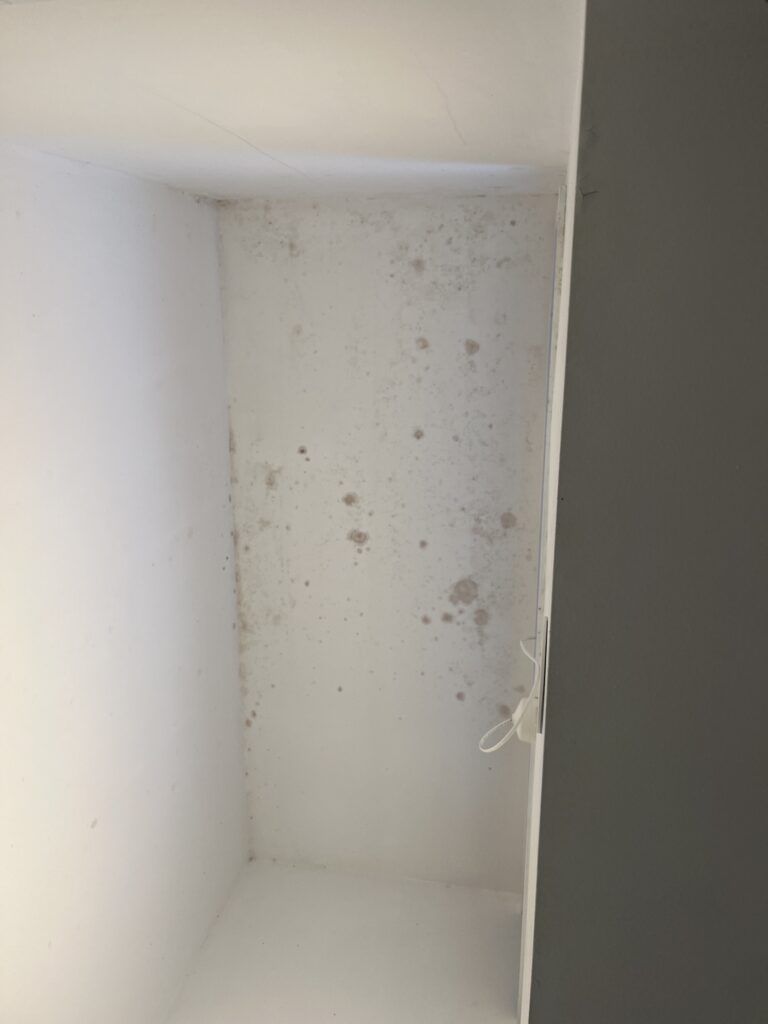 mould on bathroom ceiling due to poor ventilation