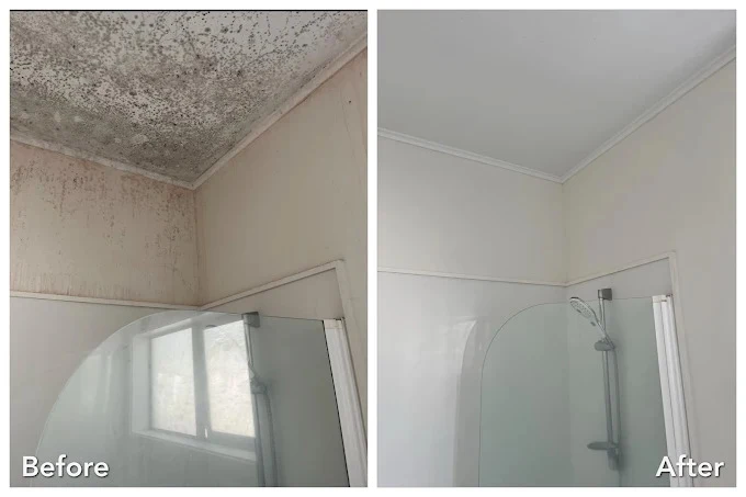 bathroom ceiling before and after mould removal