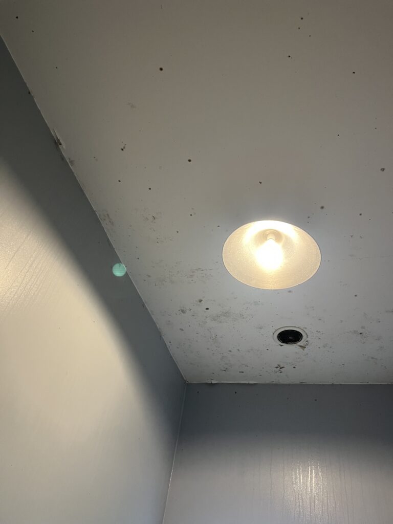 Technician performing ceiling mould removal in Wellington home